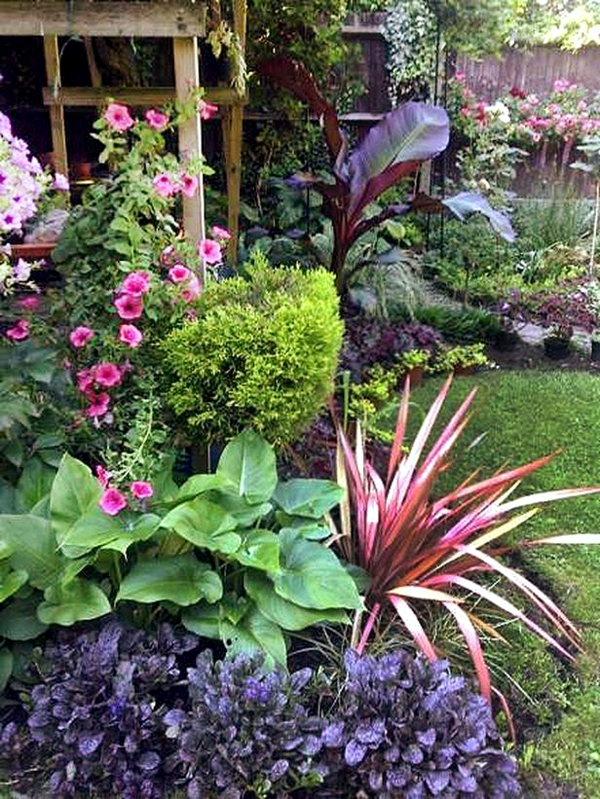 Creating gardens in the spring and summer - flowers and plants