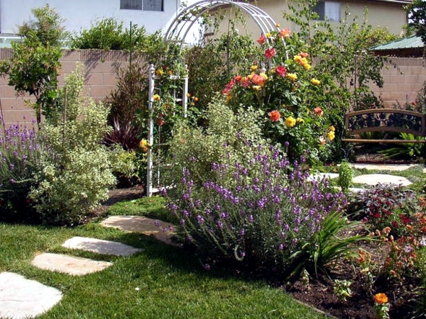 planning and design of garden - planting flowers, shrubs and trees