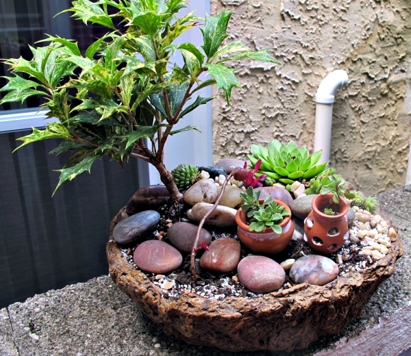 Create mini gardens