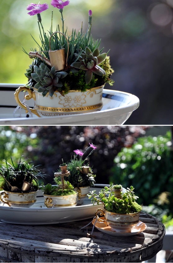 Create miniature gardens in pots on the balcony - QuickStart Guide