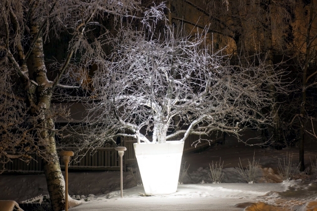 Plastic Pot holder impressive scene in trees