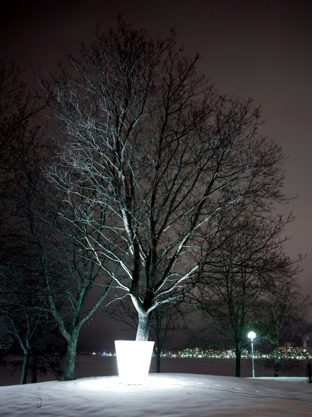 Plastic Pot holder impressive scene in trees