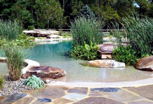 DIY by swimming pond with a natural self-cleaning process
