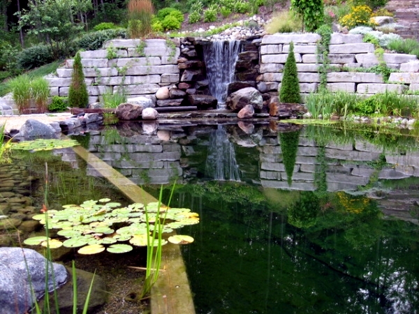 DIY by swimming pond with a natural self-cleaning process