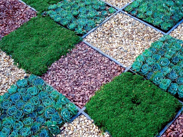 13 inspirational ideas for landscaping with rocks