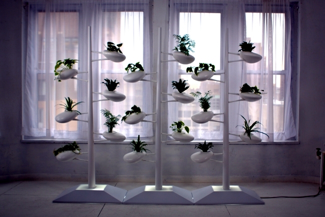 The vertical screen live sustainable garden by Danielle Trofe