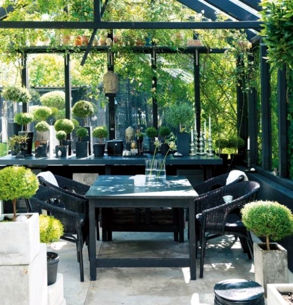 Tips for winter garden green oasis center privacy Tips for winter garden green oasis center privacy