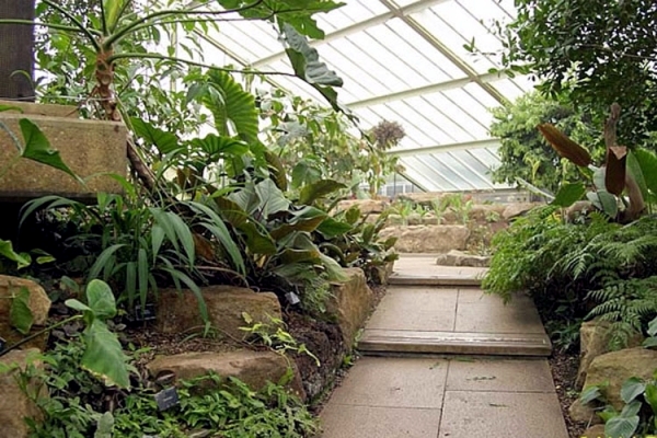 Tips for winter garden - green oasis center privacy