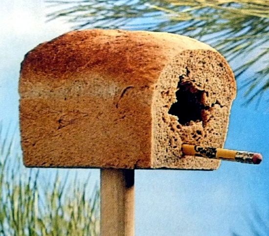 Build Vogelfutterhaus me - attracting birds to the garden