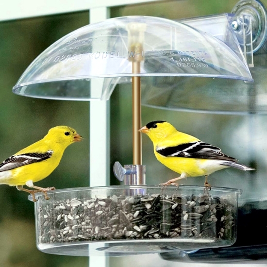 Build Vogelfutterhaus me - attracting birds to the garden