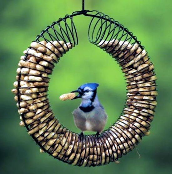 Build Vogelfutterhaus me - attracting birds to the garden