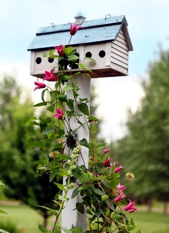 Build Vogelfutterhaus me - attracting birds to the garden