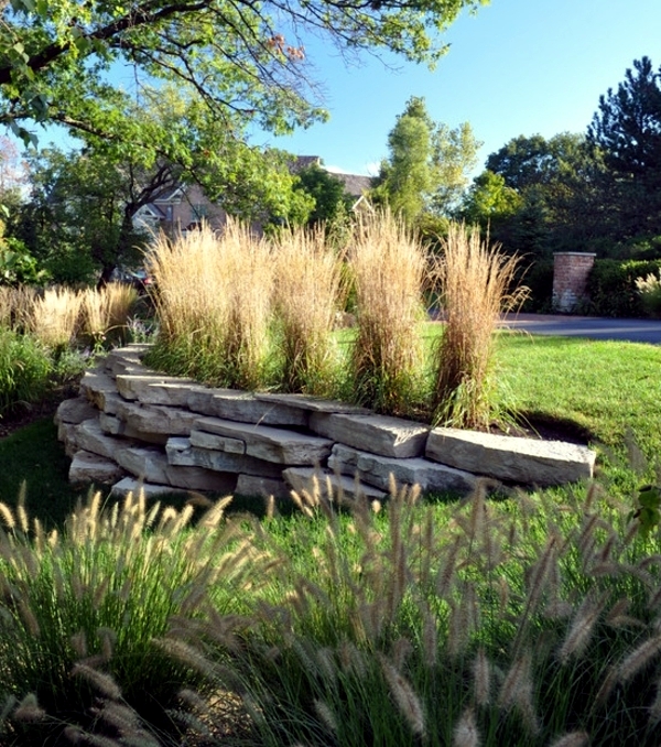 Perennials in the garden - design ideas with pampas grass