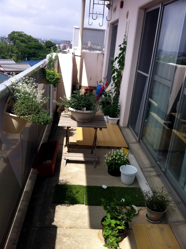 Grass on the balcony - How to create an herb garden?