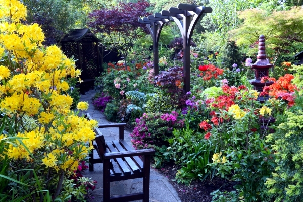 Color scheme for your garden landscaping Plan-choose the best colors
