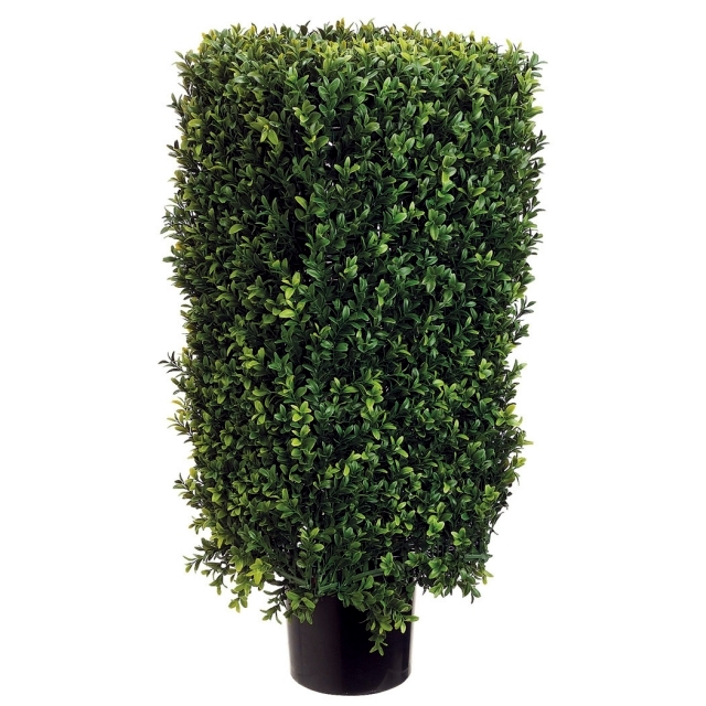 Why boxwood plants - Provides a green note on gray winter