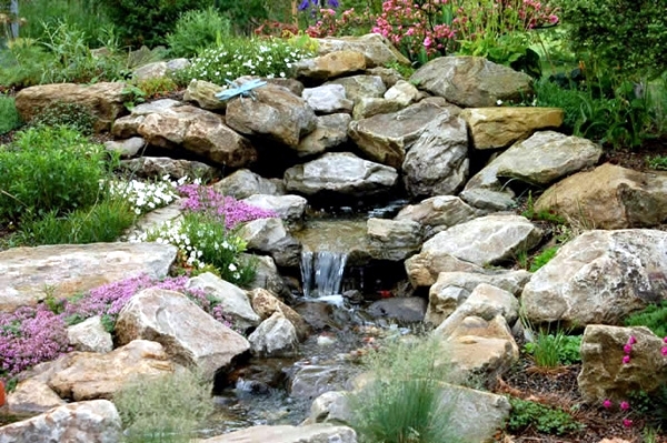 Creating a rock garden where plants are best placed?