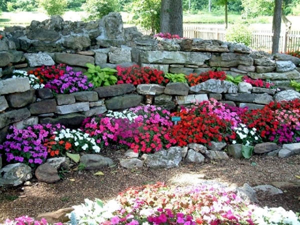 Creating a rock garden where plants are best placed?