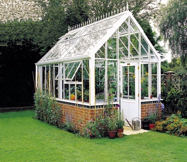 Growing plants in a greenhouse - tips for gardening