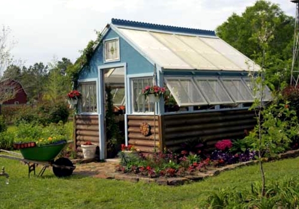 Growing plants in a greenhouse - tips for gardening