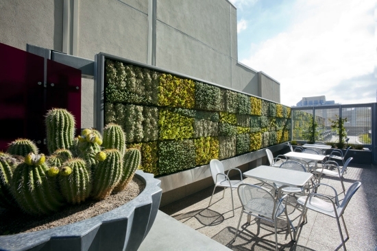 Balcony privacy screen with vertical garden – Effective and inexpensive