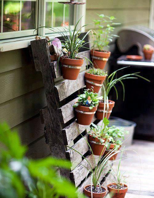 Ideas for creative use of wooden pallets in the garden