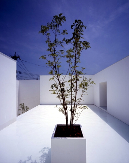 Minimalist concrete house by Takuro Yamamoto Kanazawa