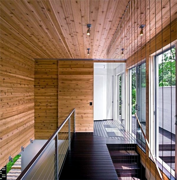 Contemporary wall cladding wood creates a warm