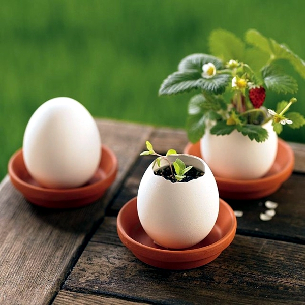 Tinker Frühlingsdeko - 25 ideas to make their own eggshells