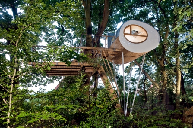 Treehouse