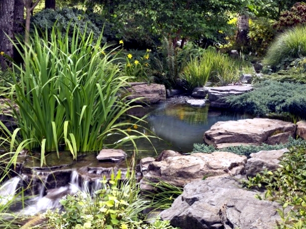 Water features in the garden to make your stay an unforgettable experience