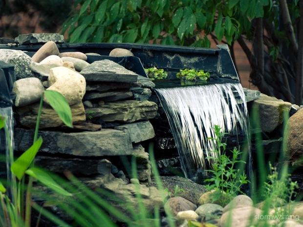 Water features in the garden to make your stay an unforgettable experience