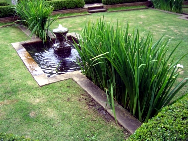 Water features in the garden to make your stay an unforgettable experience