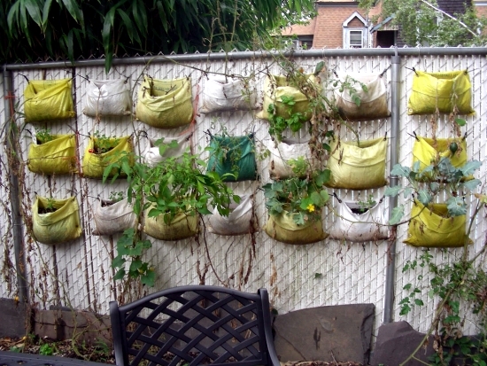 Make a small garden and visually enlarge - Tips and Tricks