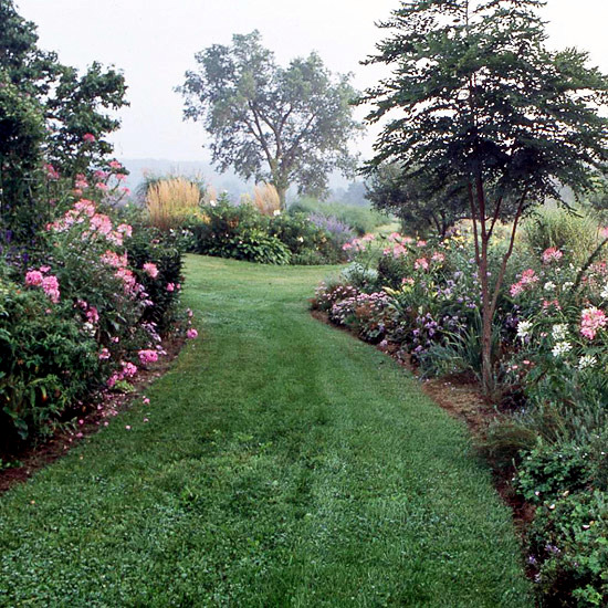 Create and maintain the grass - Ideas for garden design