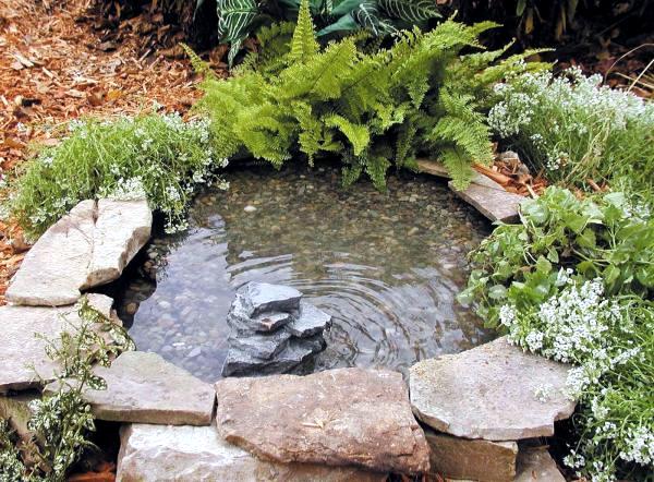 Create A Mini Garden Pond In The Mortar, Small Garden Pond Design Ideas