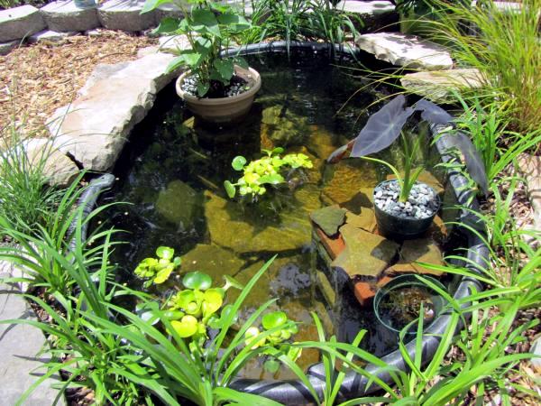Create a mini garden pond in the mortar bed and replant - DIY Idea