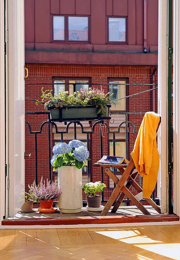 Beautify the balcony with plants - 24 ideas for the design of the balcony