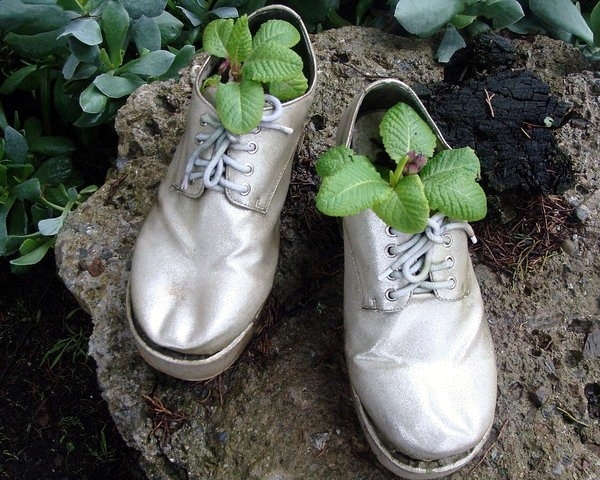 Plantar old shoes again - Ideas for home garden planters