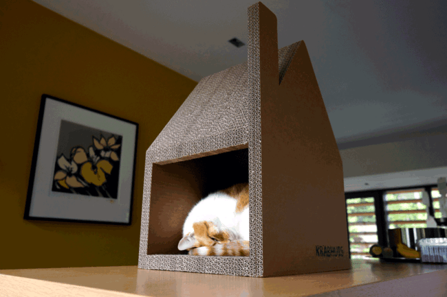 Chat modern house successfully replaced cardboard cat tree