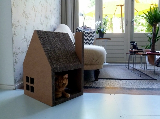 Chat modern house successfully replaced cardboard cat tree