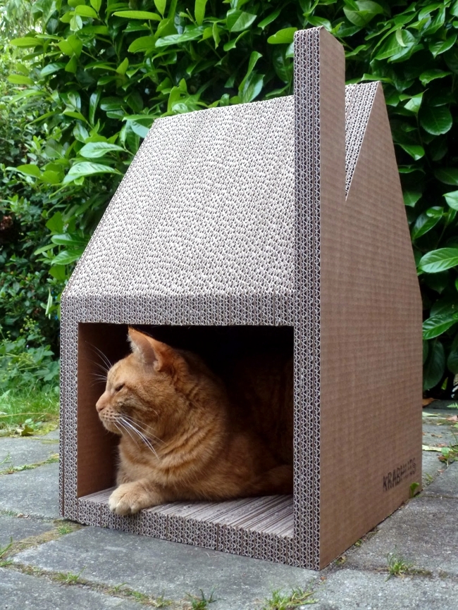 Chat modern house successfully replaced cardboard cat tree
