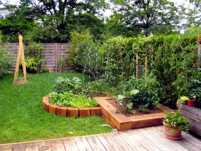 22 ideas for decorative gardens - pleasure for the eyes and palate