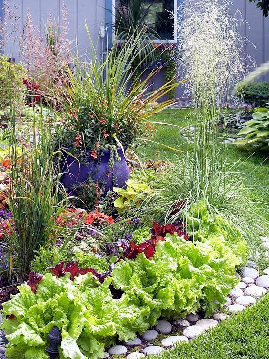 22 ideas for decorative gardens - pleasure for the eyes and palate