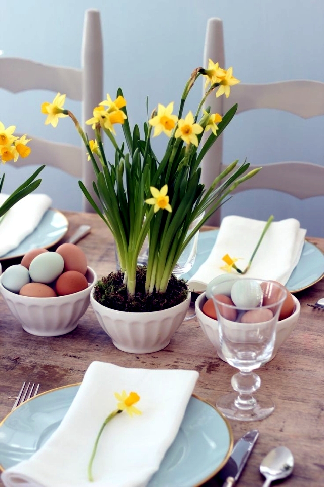 Advice on care of daffodils in the garden and potted flowers