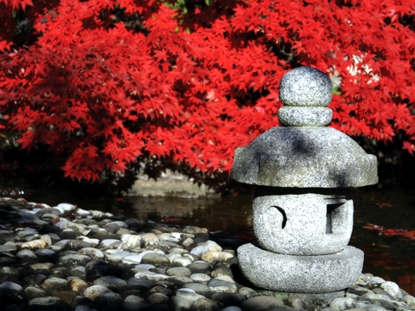 Creating A Japanese Garden Important, Why Are Japanese Gardens Important