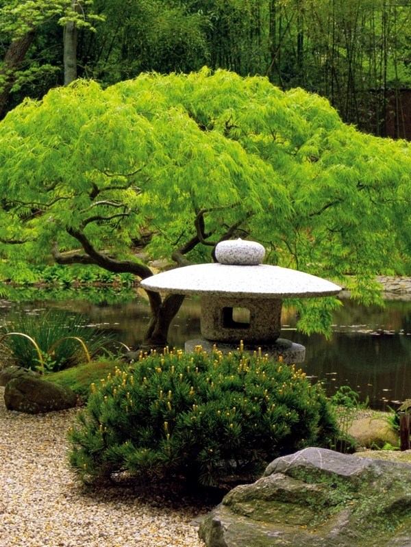 Creating a Japanese garden - Important elements of garden design