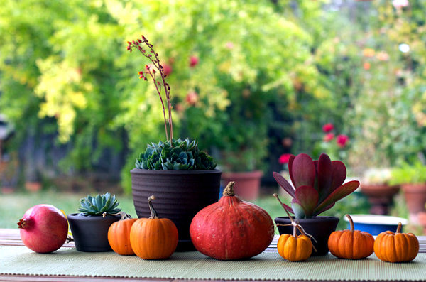Decorative pumpkins in autumn -10 inspire organized craft ideas