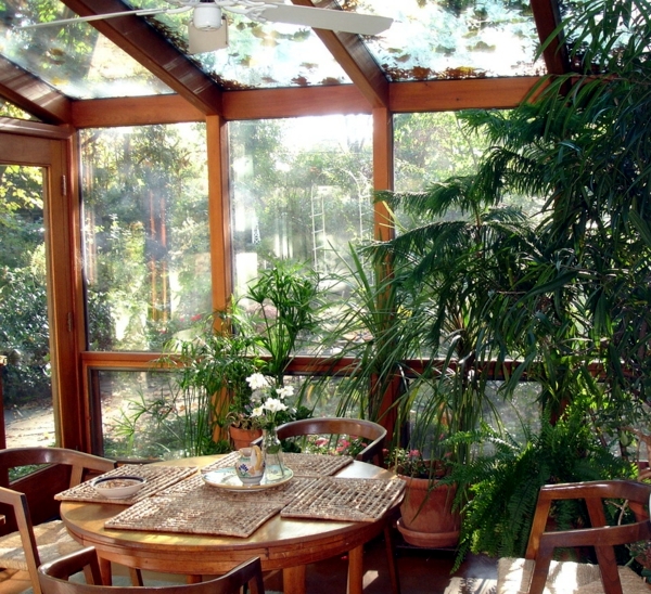 Winter Garden in the house - house plants bring nature indoors