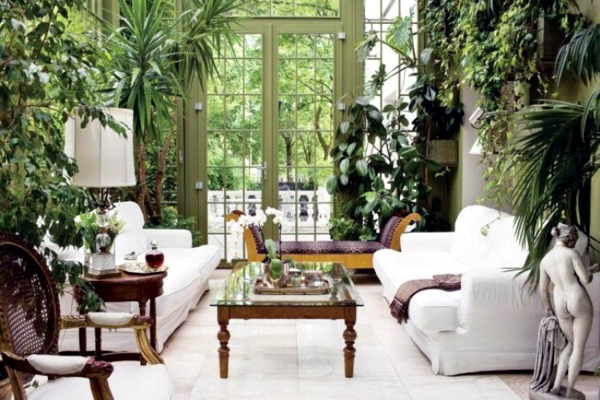 Winter Garden in the house - house plants bring nature indoors